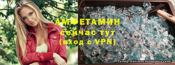 крисы Нея