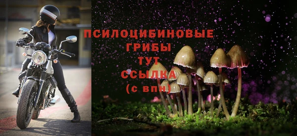 крисы Нея