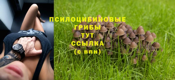 apvp Новодвинск