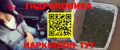 ГАЛЛЮЦИНОГЕННЫЕ ГРИБЫ Волжский