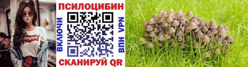 Псилоцибиновые грибы Cubensis как найти закладки Ирбит