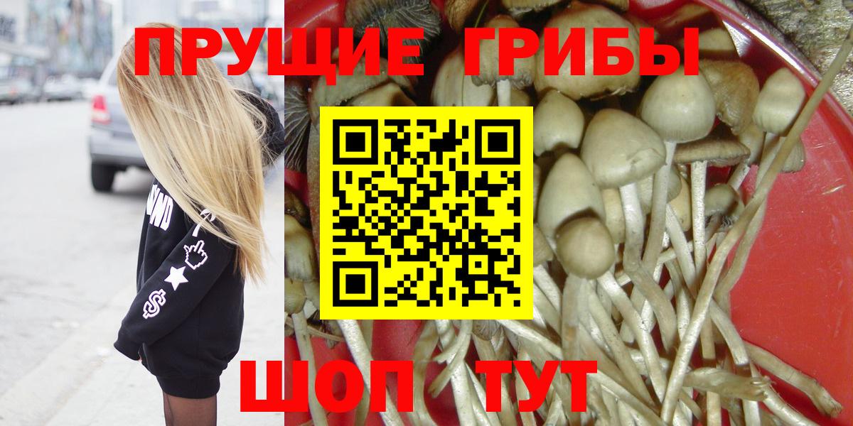Псилоцибиновые грибы GOLDEN TEACHER  Вход с VPN  Ирбит 
